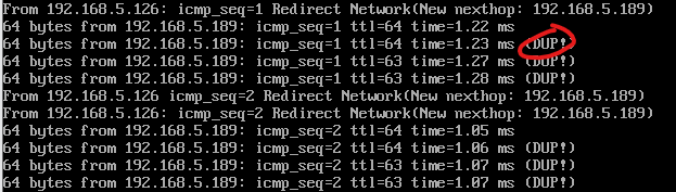 dup-packets.png